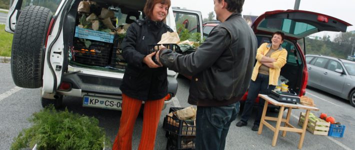 Partnersko kmetijstvo na ekološki kmetiji Romane Rejc