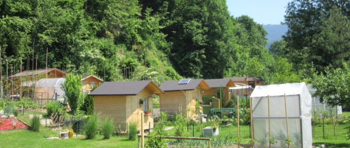 Skupnostni urbani vrtički v Slovenj Gradcu