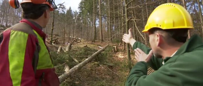 Strojni krožek Bled