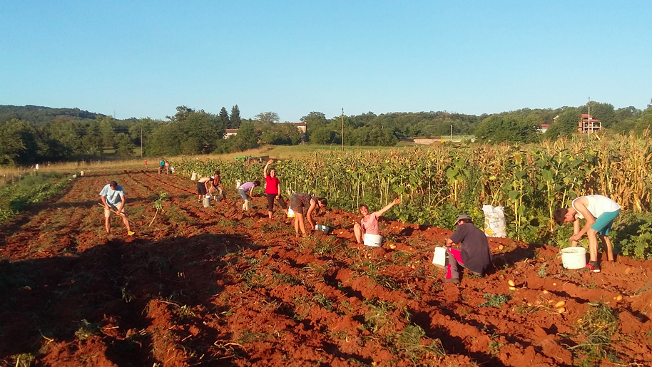 Trajnostni park Istra Trajnostni park Istra