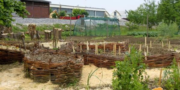 Skupnostni permakulturni vrt DŽABUKA