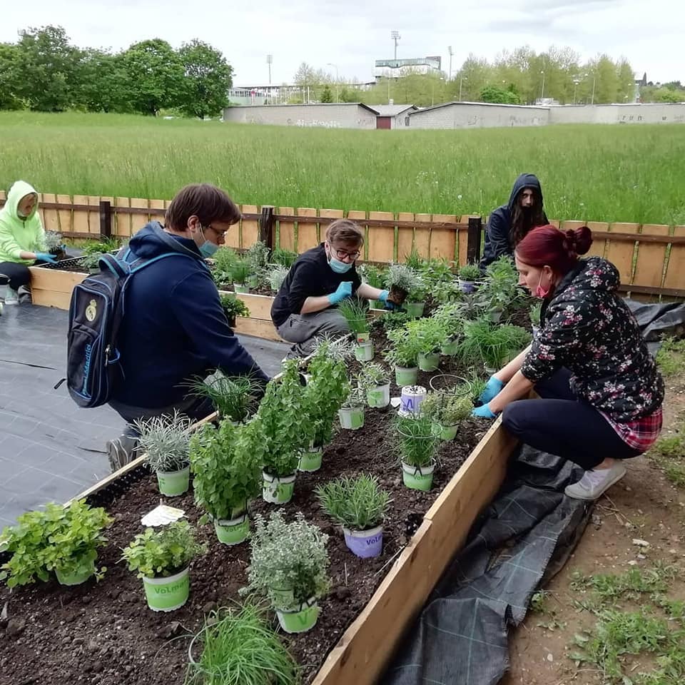 Skupnostni vrt Skupnostni vrt