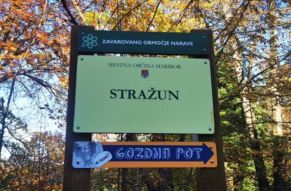dan za stražun