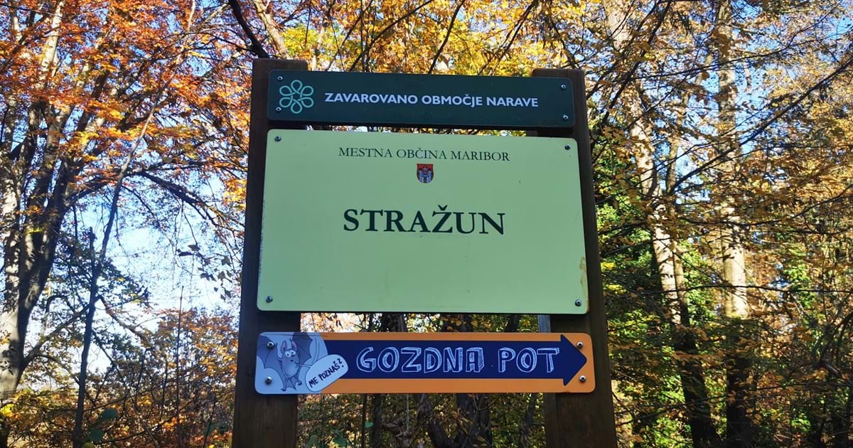 dan za stražun