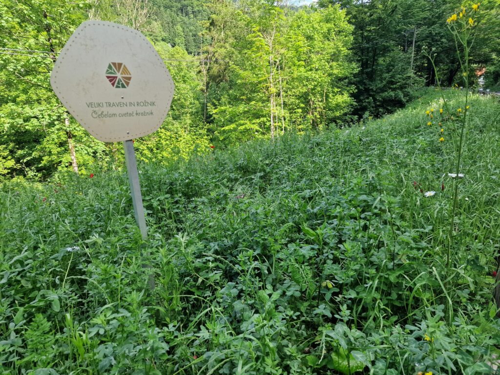 veliki traven in rožnik - čebelam cevtoč krožnik, zavod tri