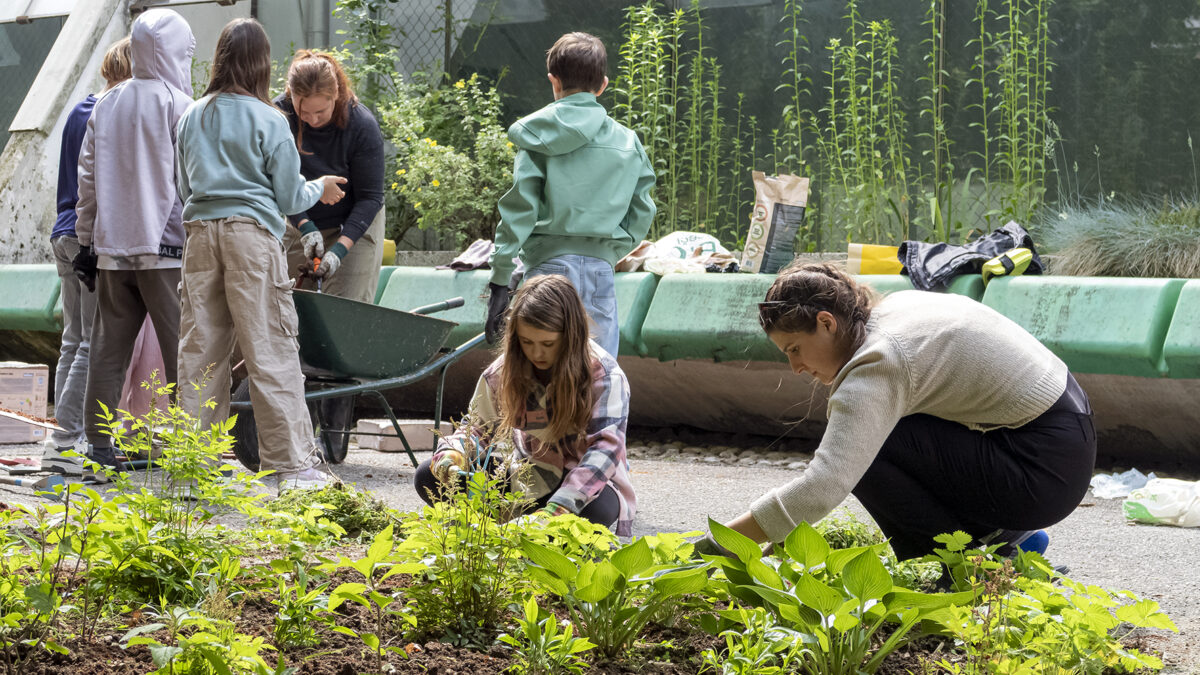 Luka Vidic, arhiv Pazi!park.