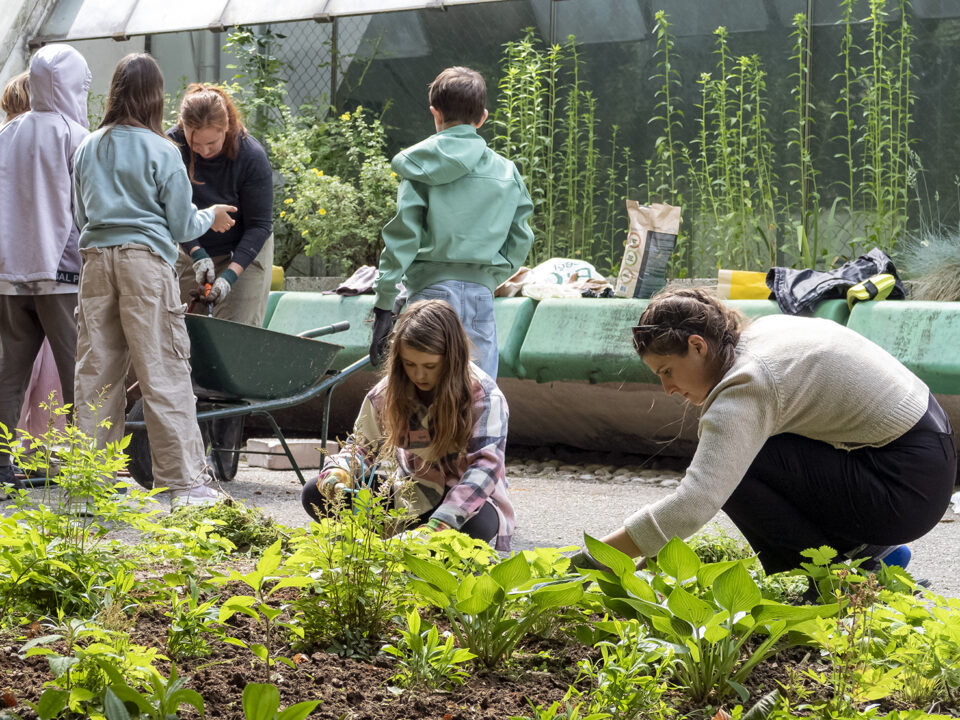 Luka Vidic, arhiv Pazi!park.