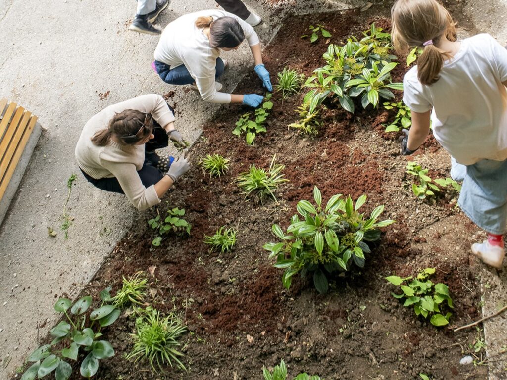 Luka Vidic, arhiv Pazi!park.