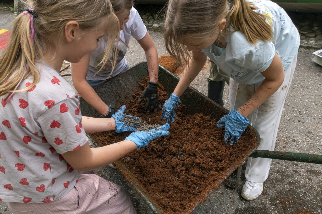 Luka Vidic, arhiv Pazi!park.